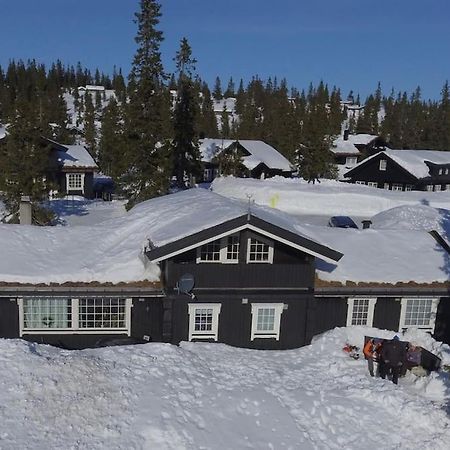 Stor Familiehytte Pa Smasaetra, Sjusjoen Villa Exterior photo