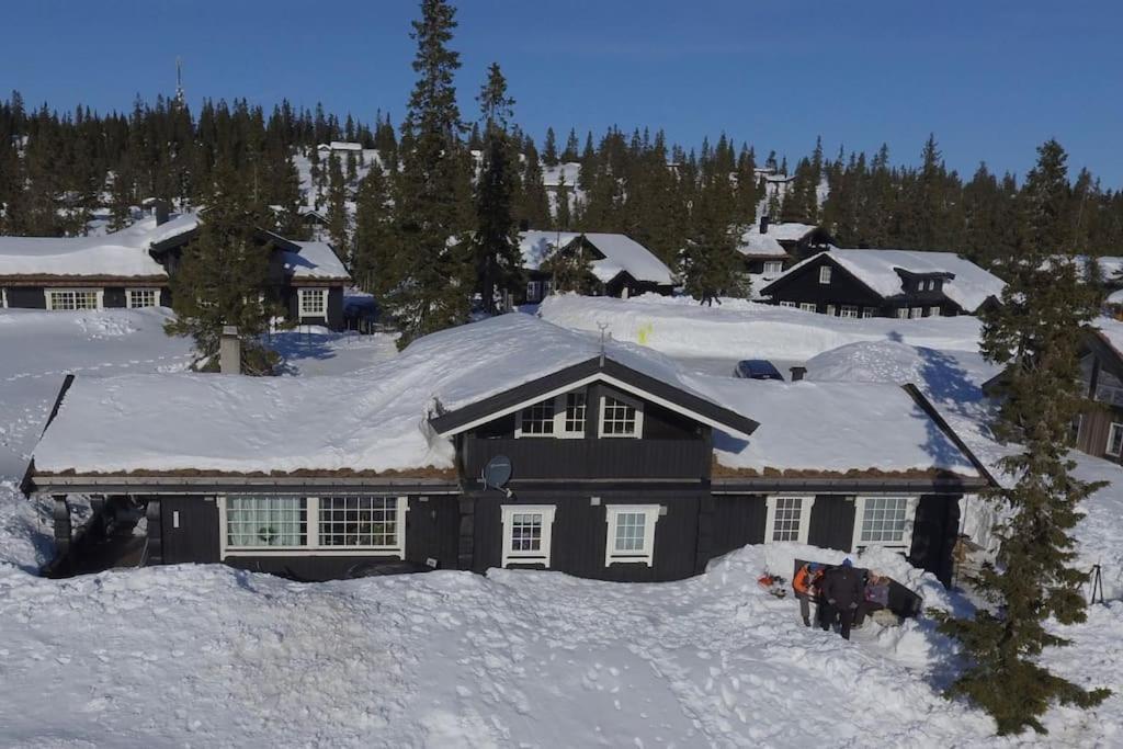 Stor Familiehytte Pa Smasaetra, Sjusjoen Villa Exterior photo