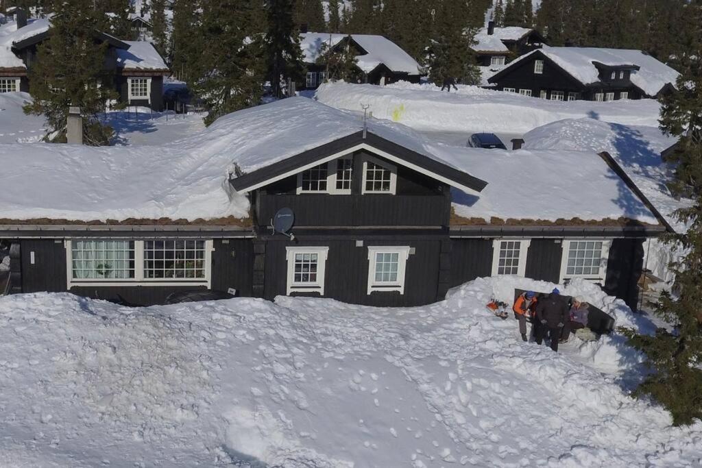 Stor Familiehytte Pa Smasaetra, Sjusjoen Villa Exterior photo