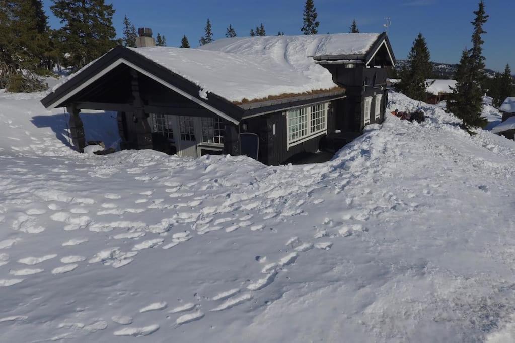 Stor Familiehytte Pa Smasaetra, Sjusjoen Villa Exterior photo