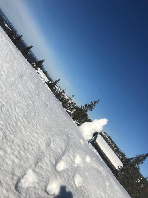 Stor Familiehytte Pa Smasaetra, Sjusjoen Villa Exterior photo